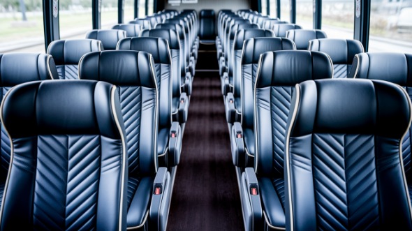 new haven 55 passenger charter bus rental