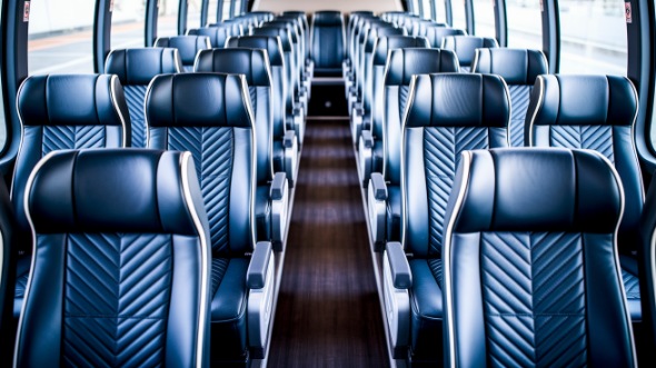 new haven 56 passenger charter bus rental