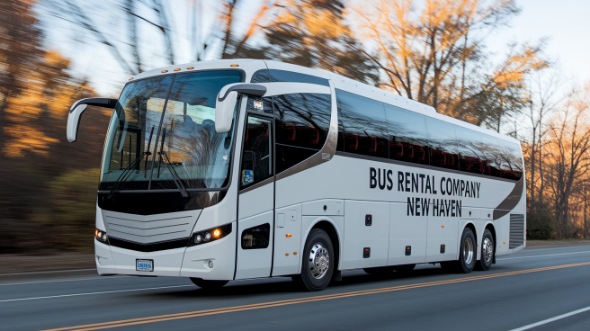 new haven charter bus