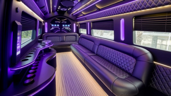 new haven sprinter limo rental inside